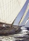 The Return of The Lady Anne