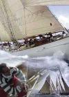 Sailors, Classics and the Walligator